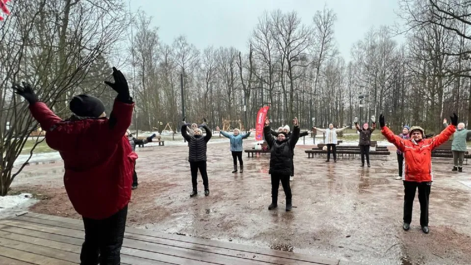 Тренировка для пенсионерок во Фрязинском лесопарке. Фото: Фрязинский лесопарк