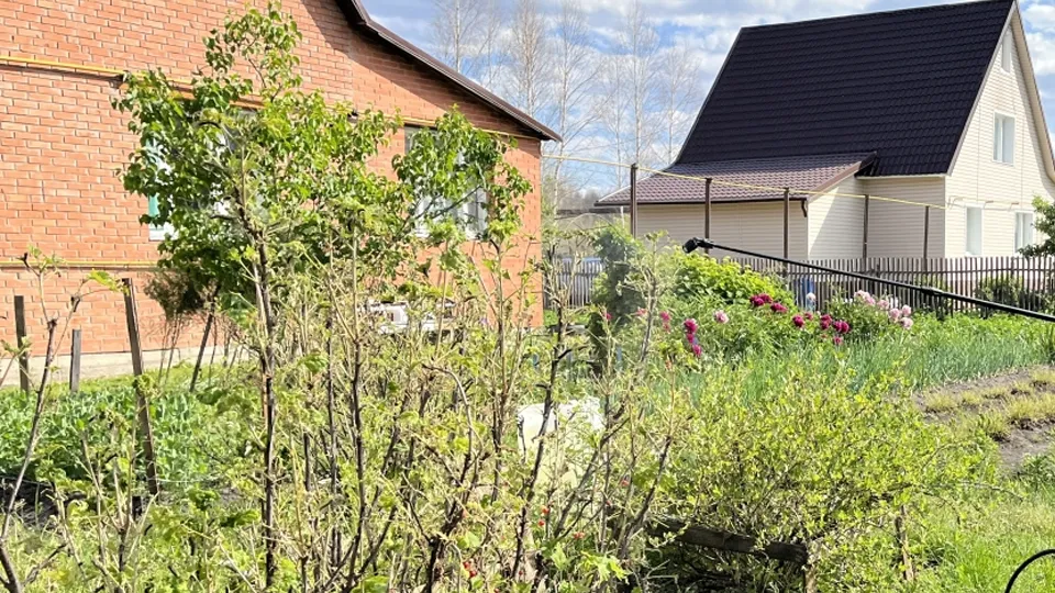 Фото: РИА Новости/Павел Львов