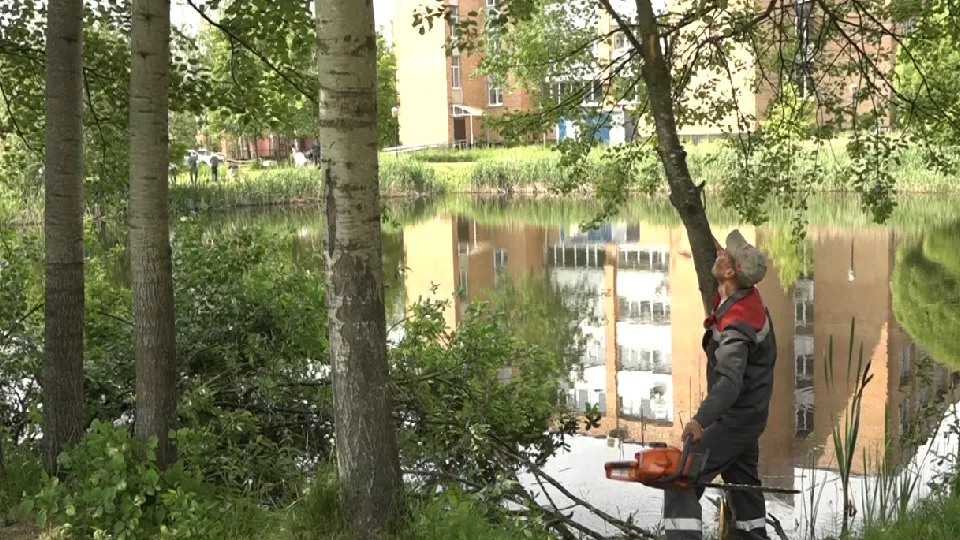 Фото: пресс-служба администрации г.о. Дубна