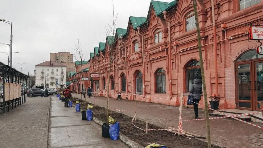 В городском округе Клин высадили аллею