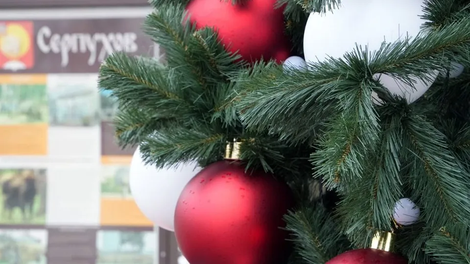 Фото: пресс-служба администрации г.о. Серпухов