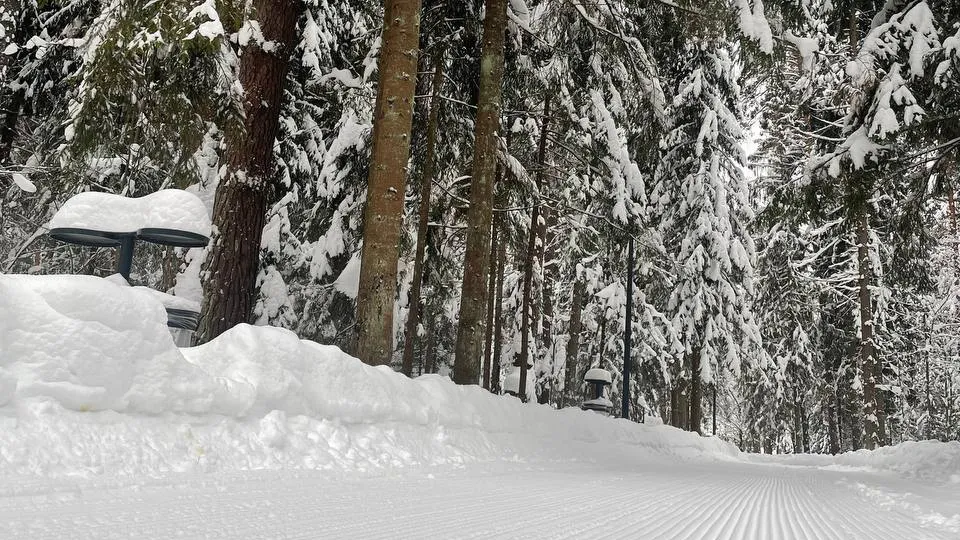 Фото: МБУ «Дирекция парков Одинцовского городского округа»