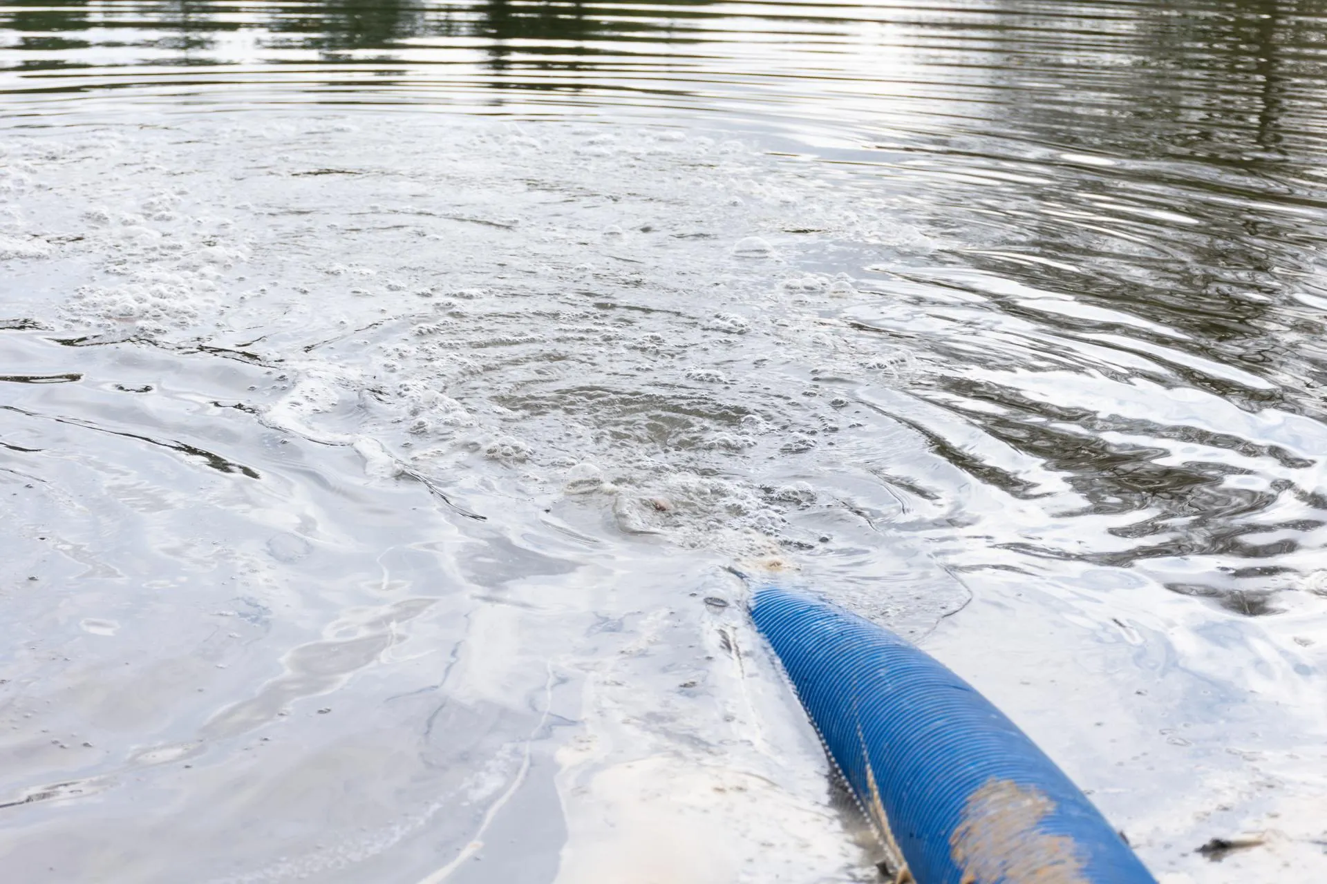 Фото: Евгений Мазепов