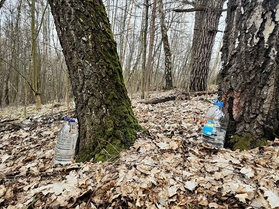 Фото: REGIONS/Мария Панина