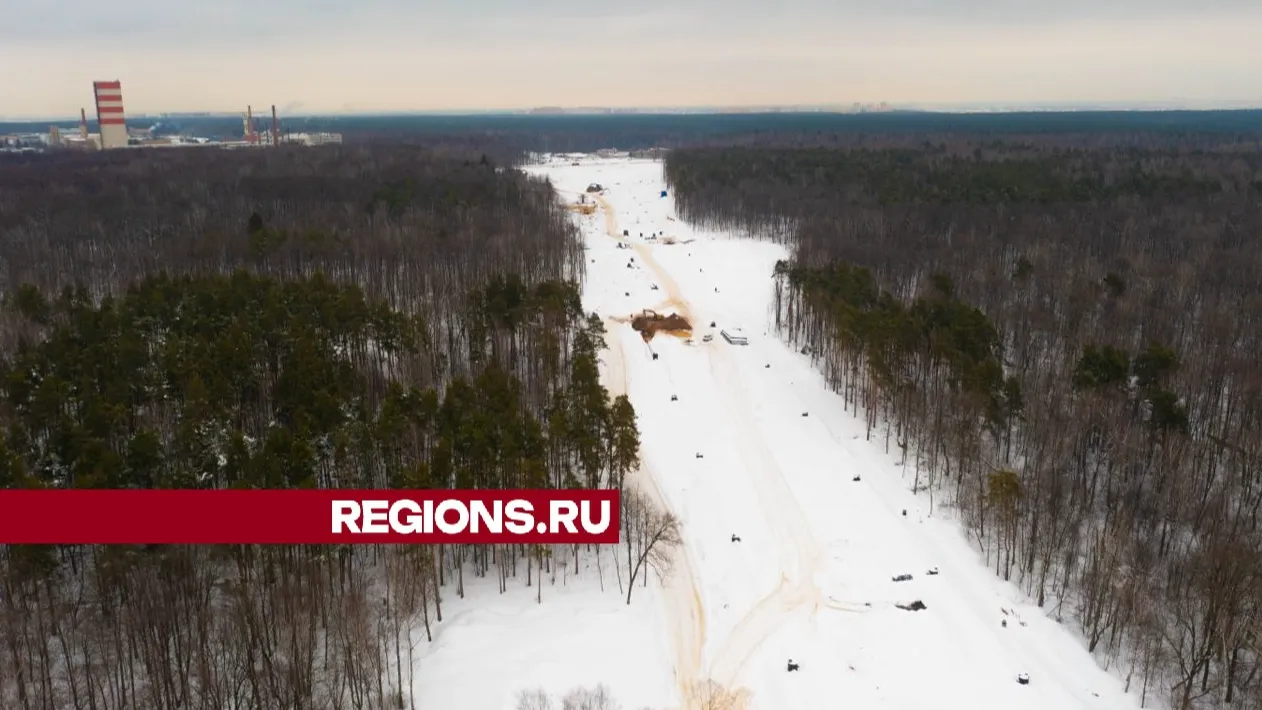 Фото: Антон Шаманин