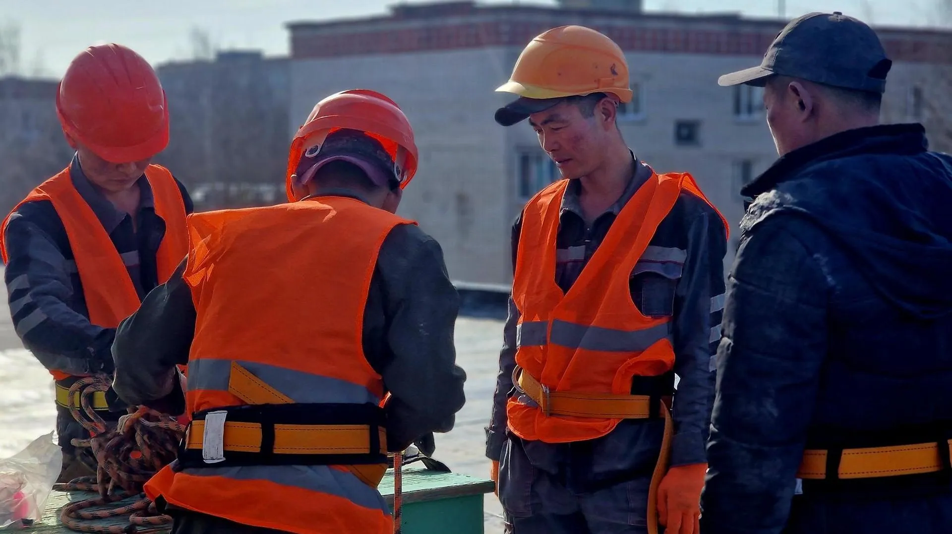 REGIONS/Ольга Шаронова