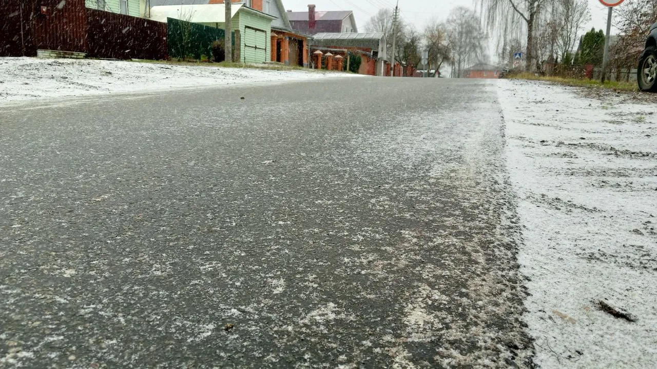 Фото: REGIONS/Василий Тремасов