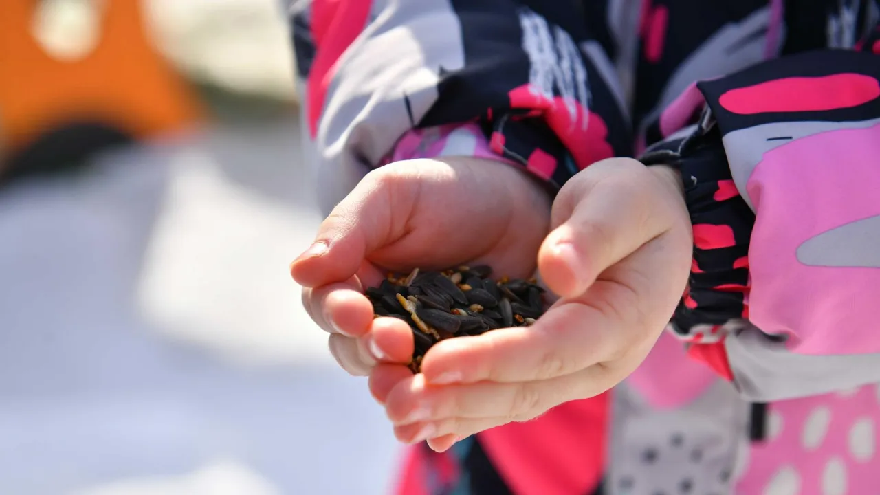 МедиаБанк Подмосковья/Иван Чижов