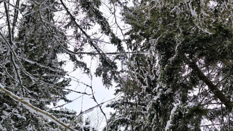 Фото: REGIONS/Роман Малышенко