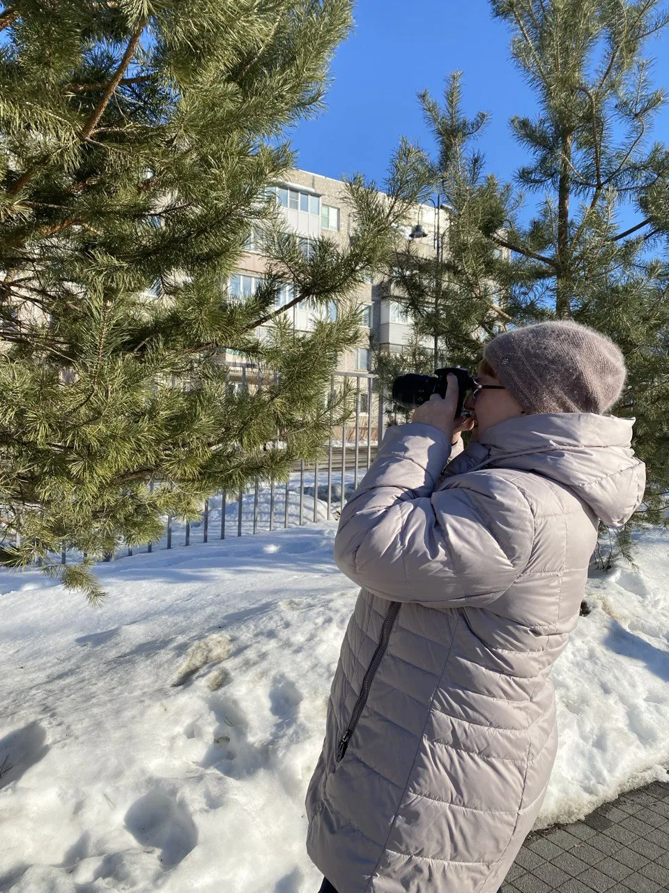 Фото: проект «Активное долголетие» в г.о. Зарайск