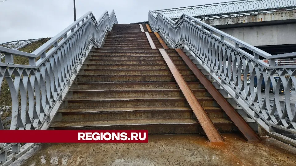 Фото: Максим Сафронов