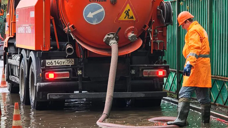 Фото: Медиабанк Подмосковья/Наталья Лымарь