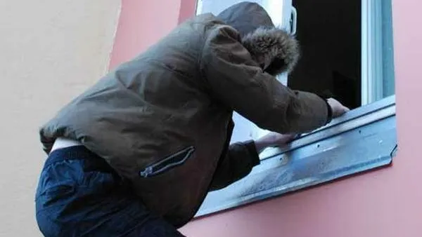 Более 15 коттеджей ограбила банда преступников в Подмосковье