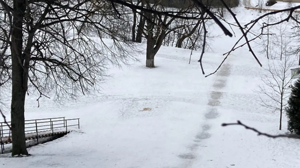 © Пресс-служба ГКУ МО «Мособлпожспас»