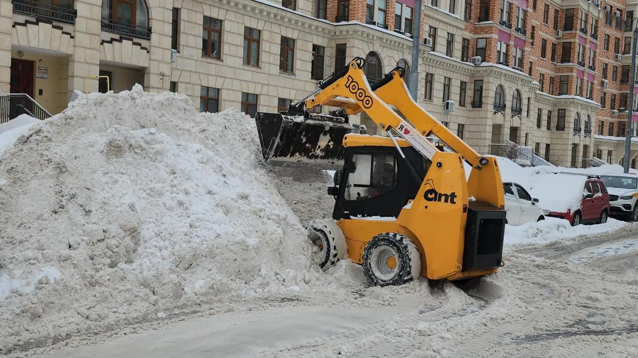 REGIONS/Кристина Ларина