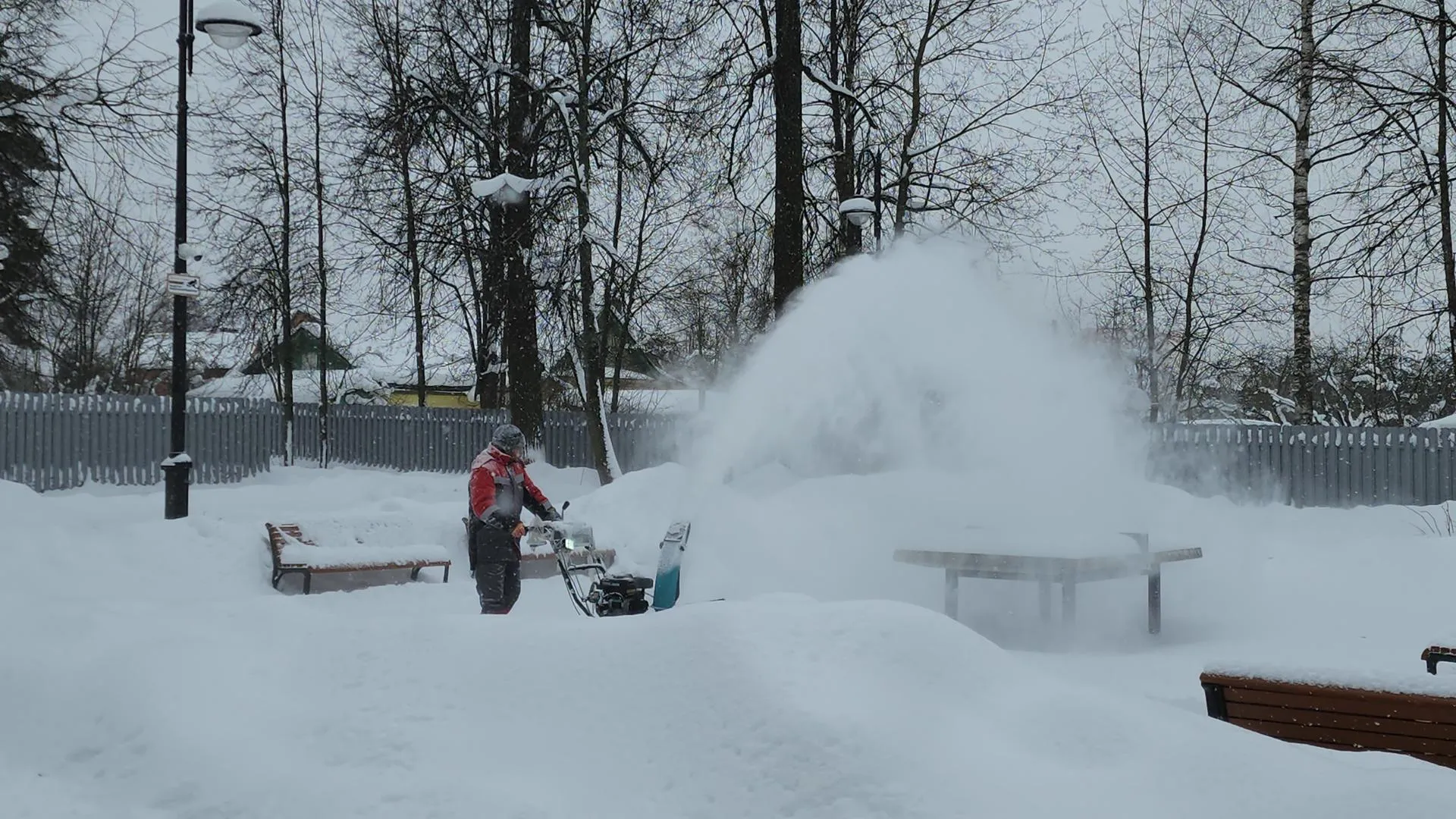 МедиаБанк Подмосковья/Екатерина Федосеева
