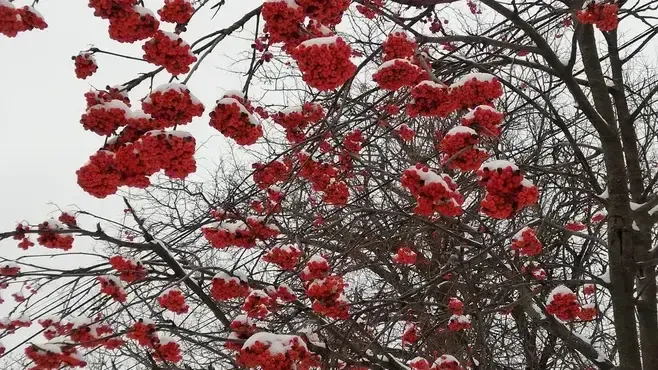 REGIONS/Николай Мулянский