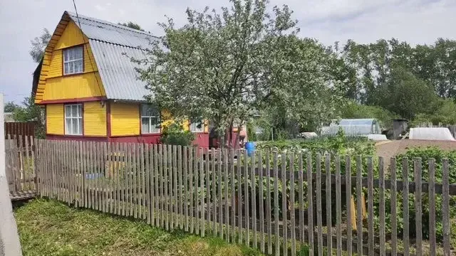 Картинка