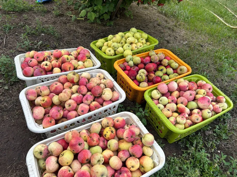 Фото: REGIONS/Юлия Габбасова