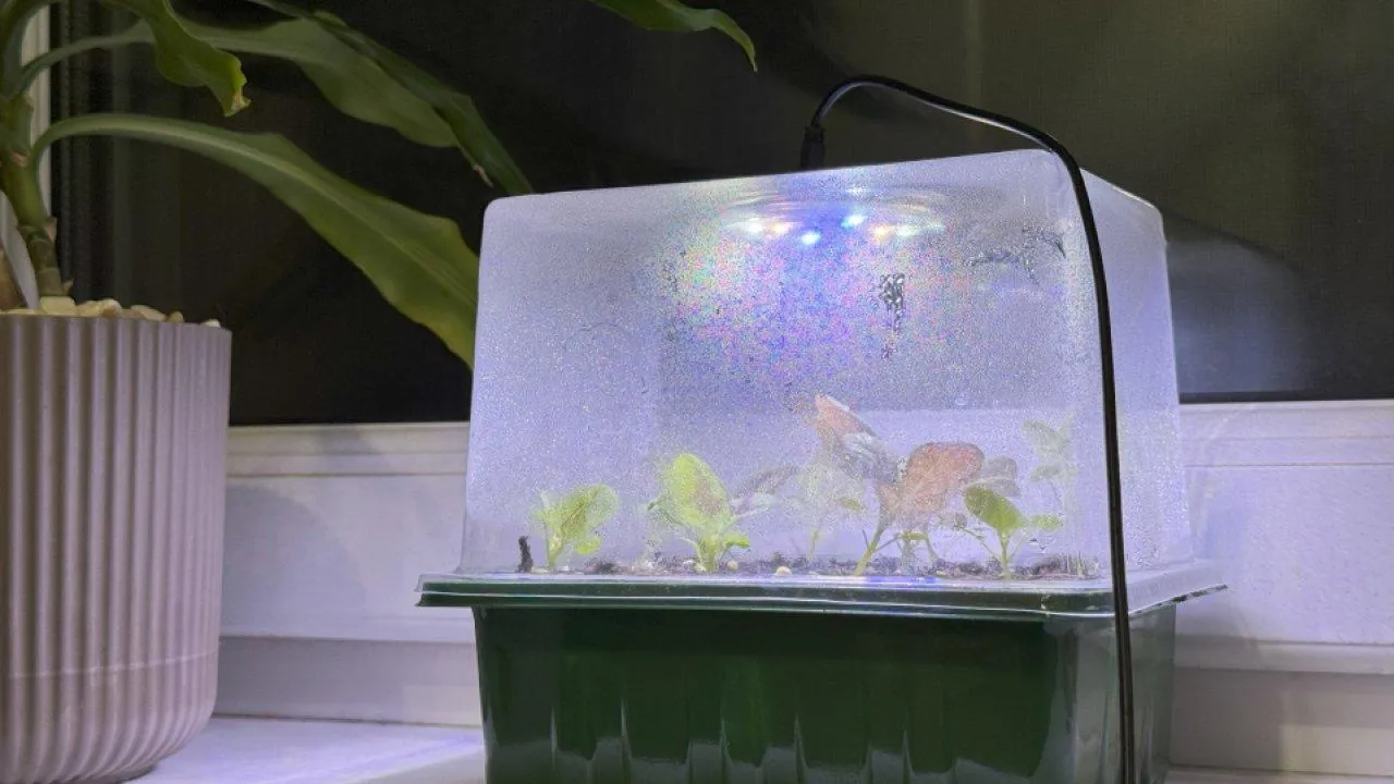 REGIONS/Илья Попов