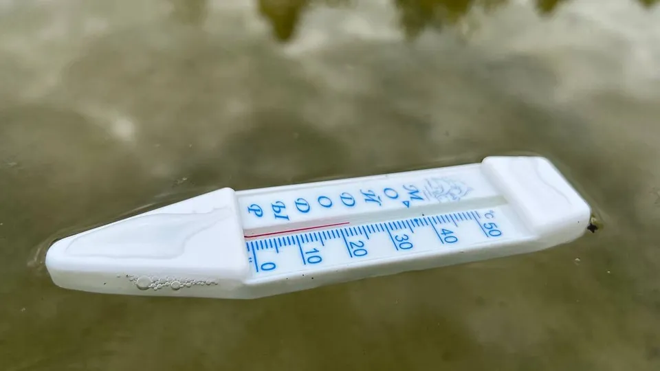 Фото: Елена Фурман