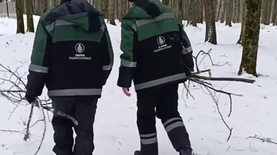 Фото: пресс-служба администрации г.о. Волоколамск