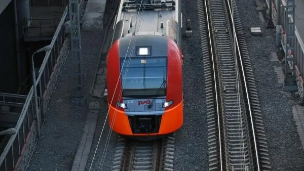 Жители Подмосковья отвлекли проводника и украли комплект самоспасателя в электричке