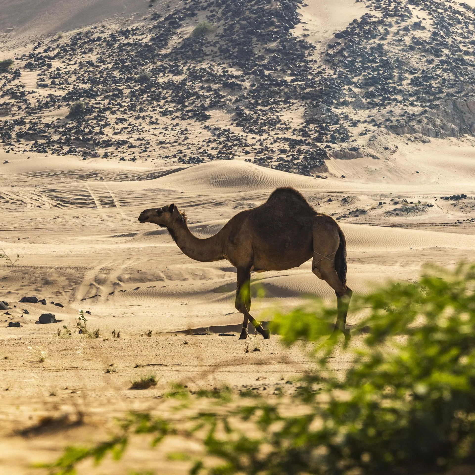 Nikos Katikis/Keystone Press Agency