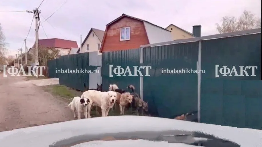 Телеграмм-канал «Русавкино-Романово»