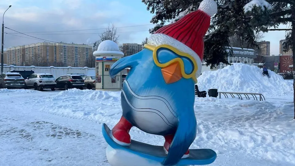 пресс-служба администрации городского округа Долгопрудный