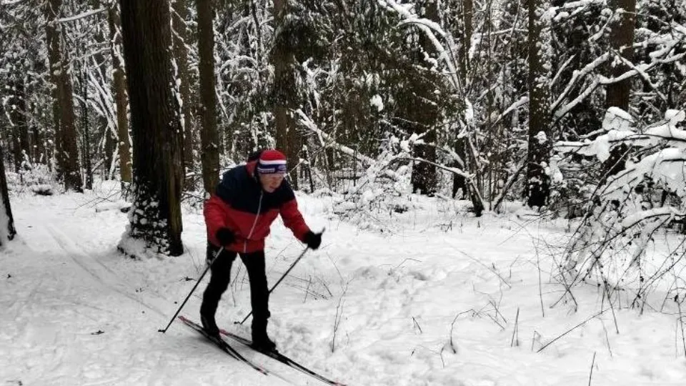 Фото: t.me/AnnaKrotova_Lobnya