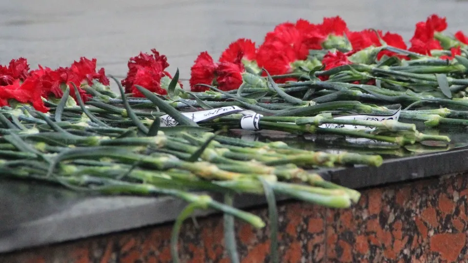 Фото: REGIONS/Василий Тремасов