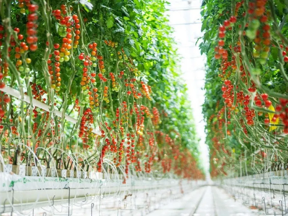 Фото: ГК «РОСТ»