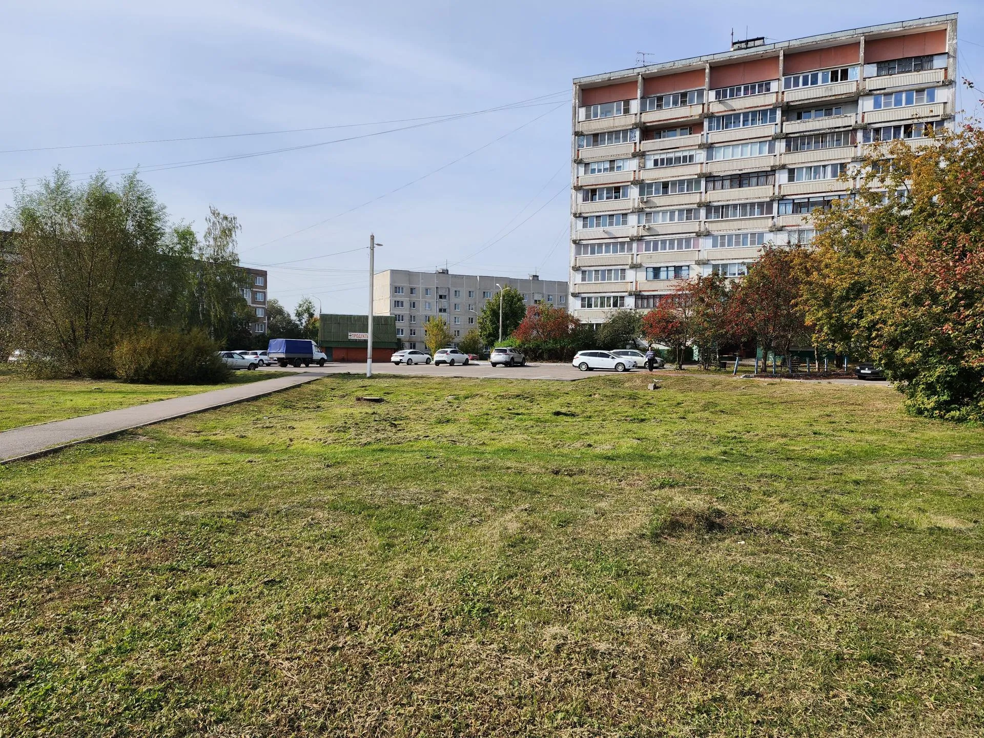 Фото: МедиаБанк Подмосковья/Ирина Моисеева