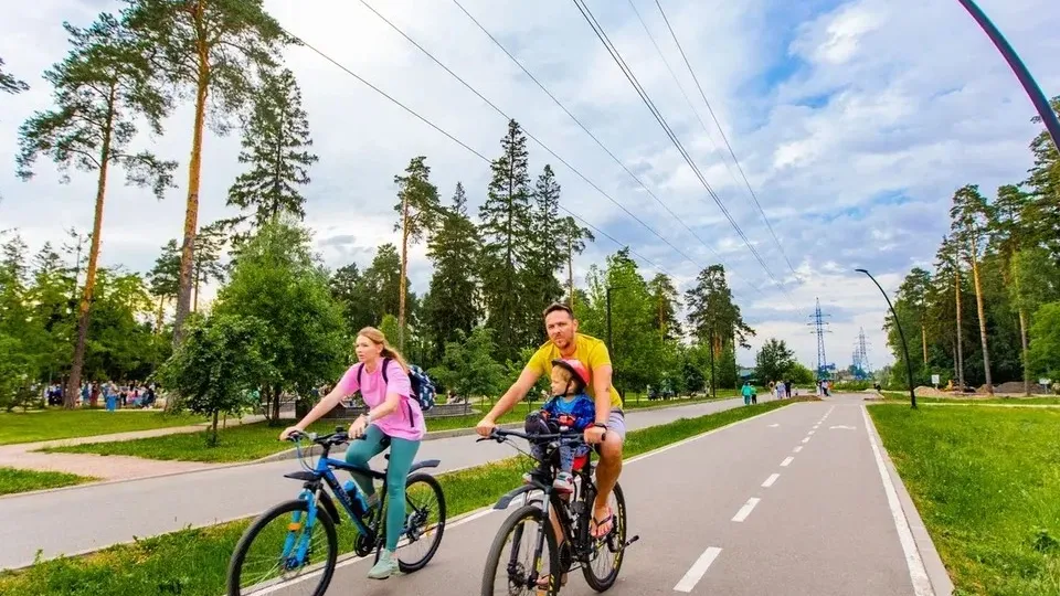 Фото: Министерство благоустройства Московской области