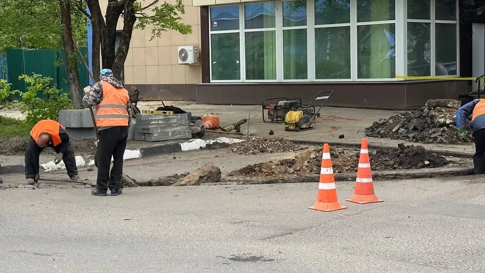 Фото: Эдуард Стратонов