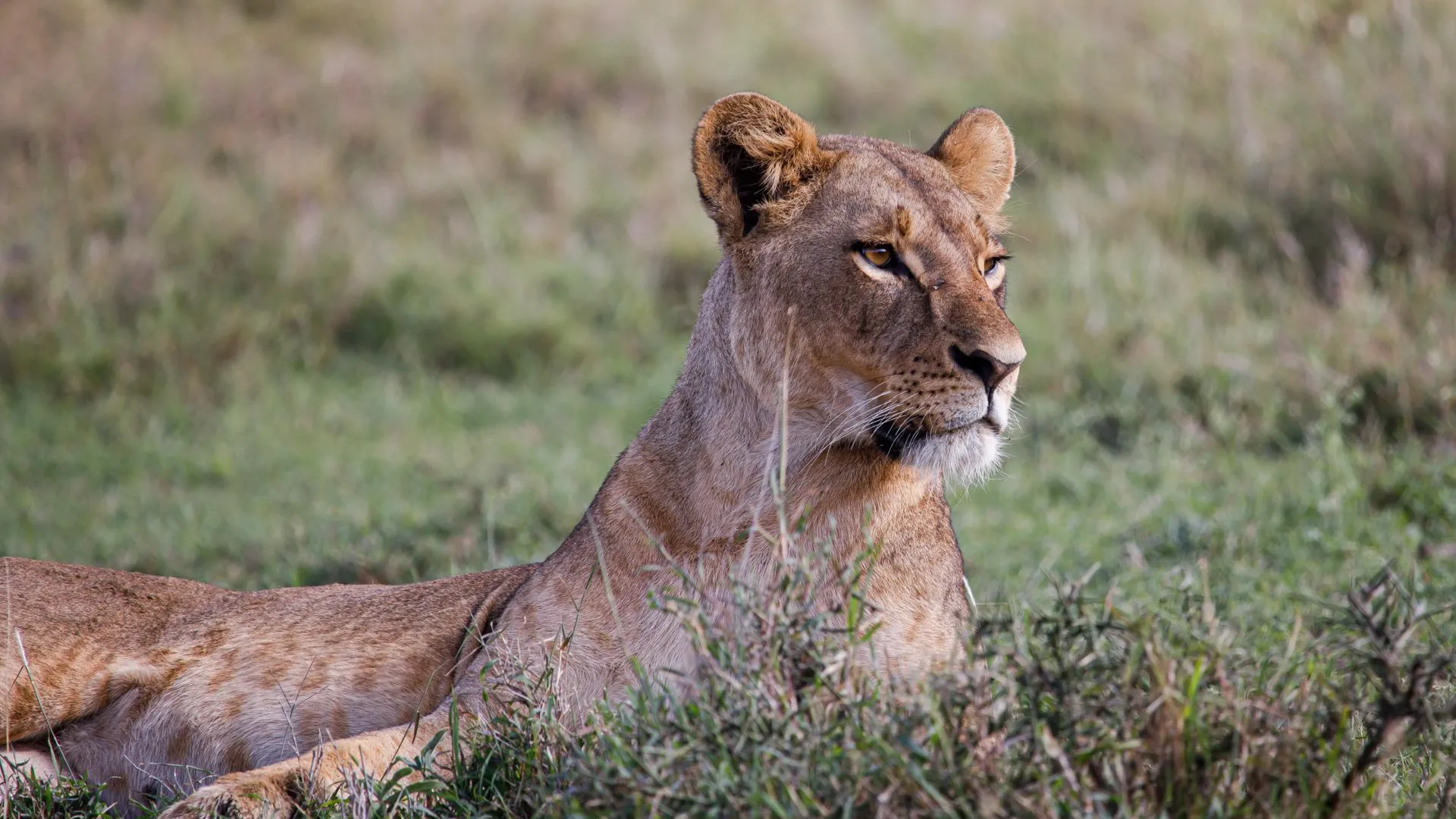 Boniface Muthoni/Keystone Press Agency