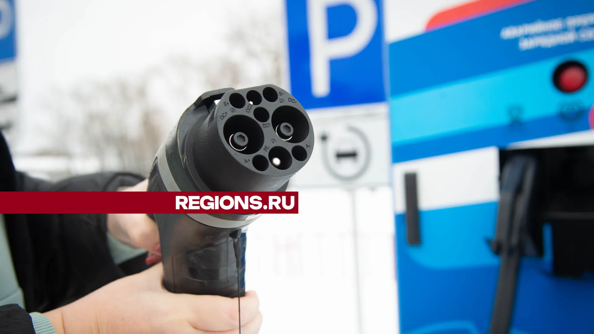 Фото: Нина Соколова