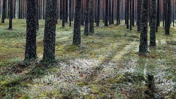 Минэкологии МО