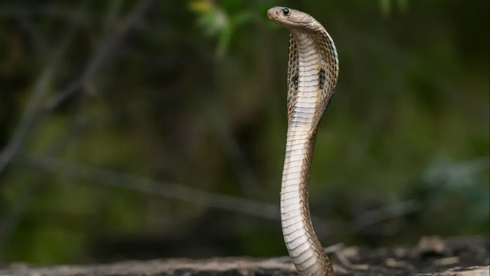 Фото: unsplash.com