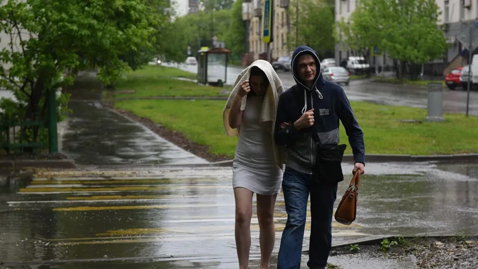 Фото: Медиаархив Подмосковья