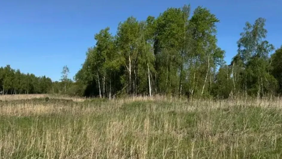 Фото: Комитет по конкурентной политике МО