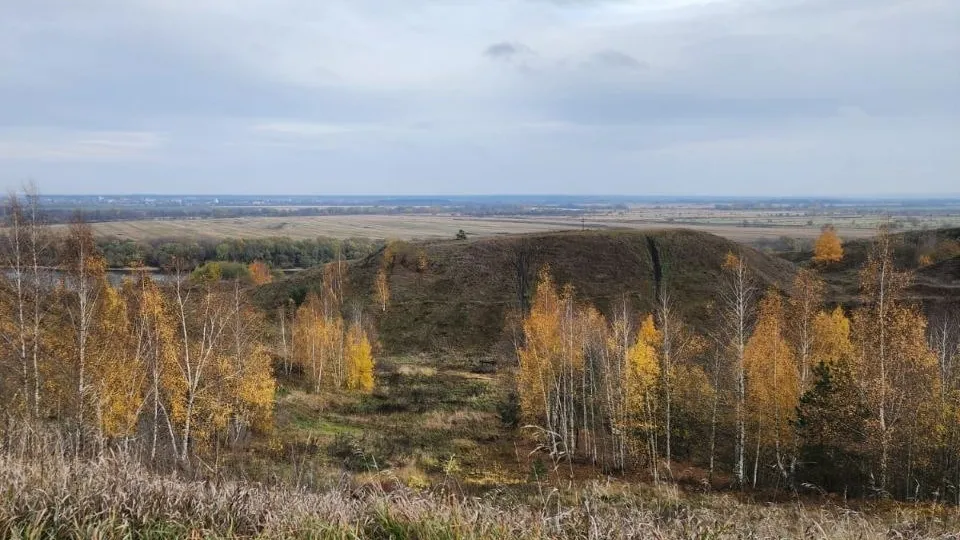 Фото: пресс-служба администрации м.о. Луховицы