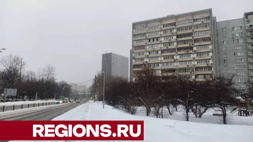 Фото: Кирилл Софьинский