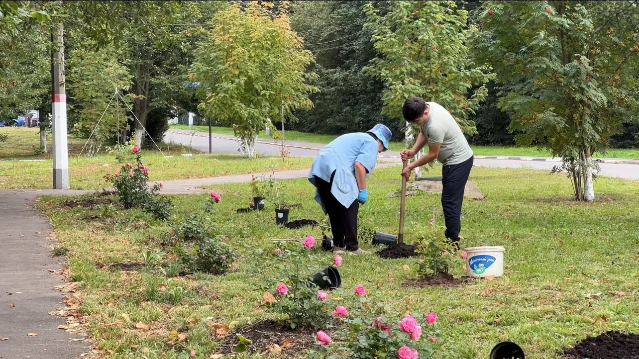 Фото: МедиаБанк Подмосковья/Валерия Ерофеева