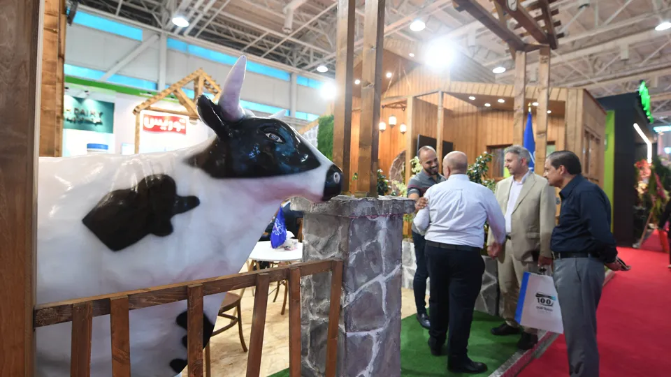 Фото: TASS/ABACA/Xinhua