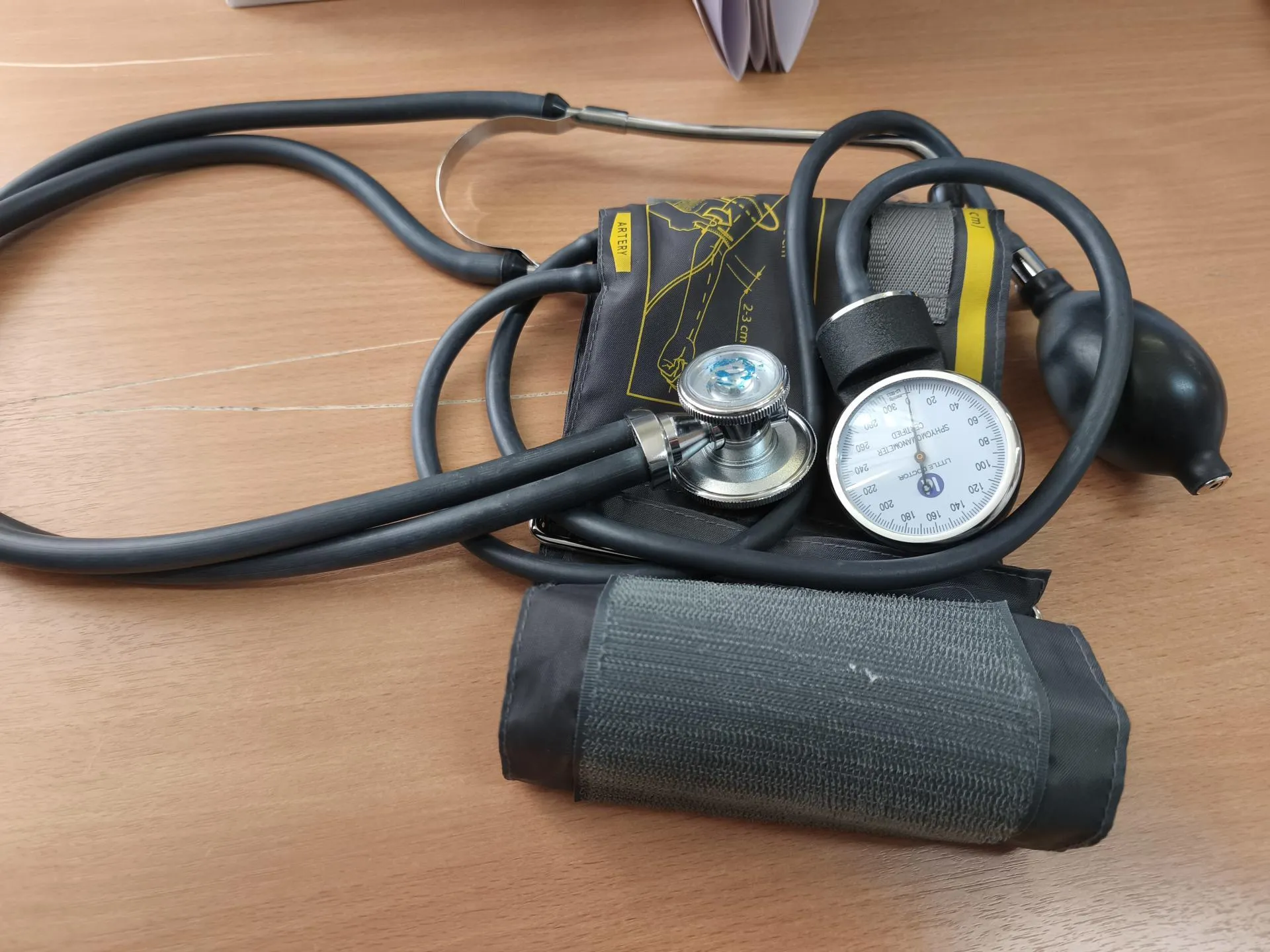 REGIONS/Арина Кузенцова