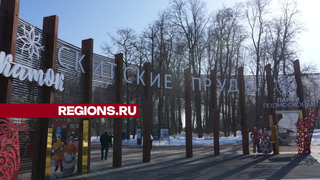 Фото: Дмитрий Зайчиков