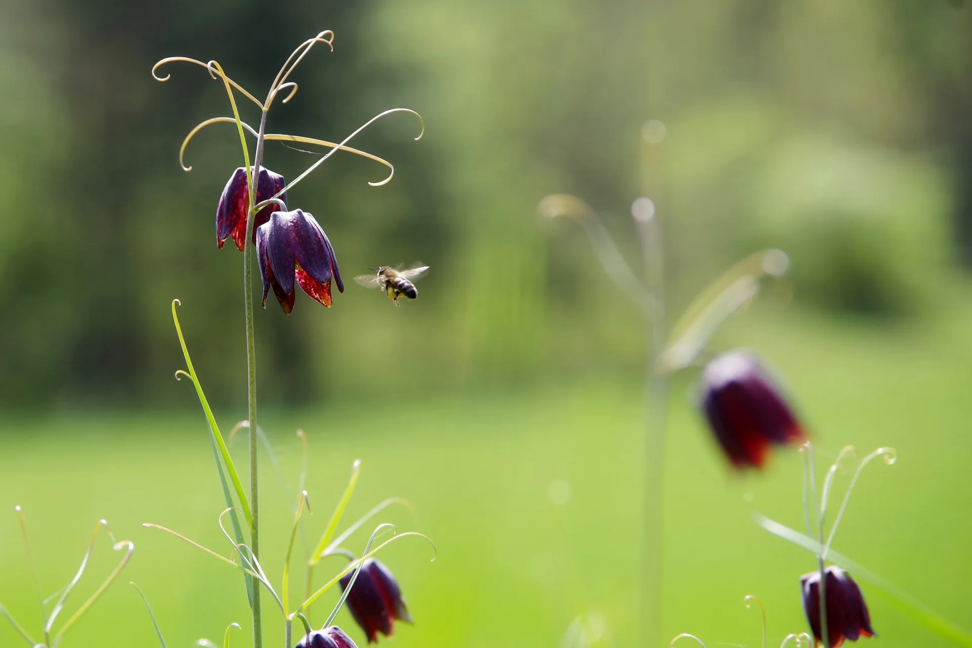 Фото: Ольга Калинина
