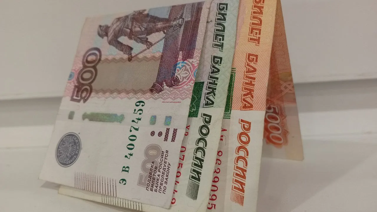 Фото: REGIONS/Василий Тремасов